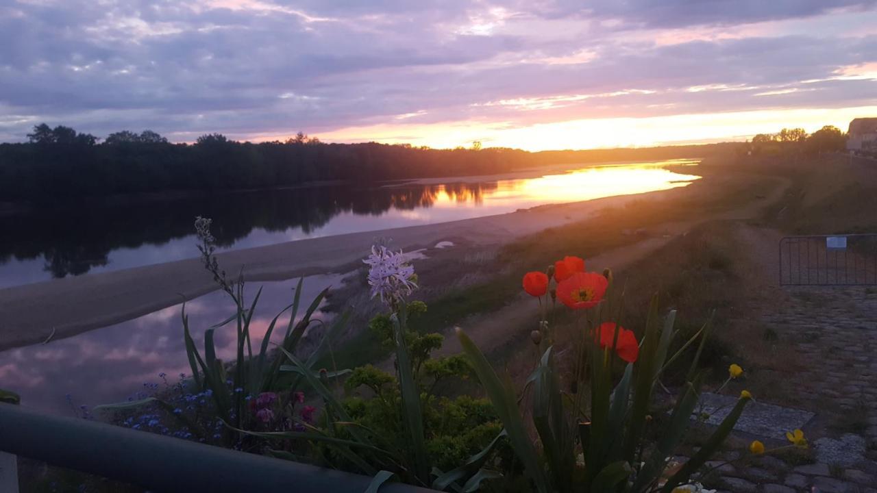 Apartament Le Cosy Loire Appart Les Rosiers Zewnętrze zdjęcie